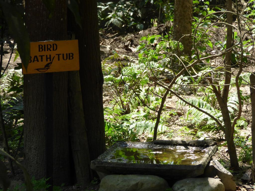 Chitwan Gaida Lodge Sauraha Εξωτερικό φωτογραφία