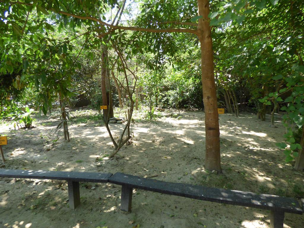 Chitwan Gaida Lodge Sauraha Εξωτερικό φωτογραφία