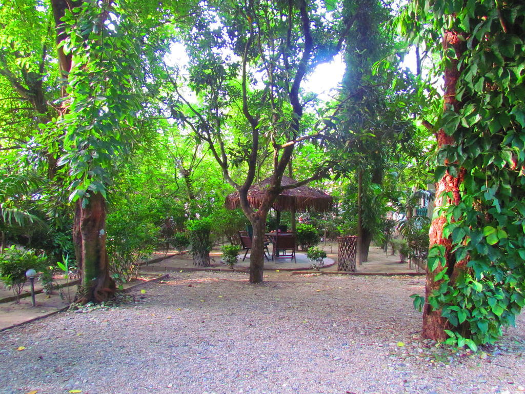 Chitwan Gaida Lodge Sauraha Εξωτερικό φωτογραφία