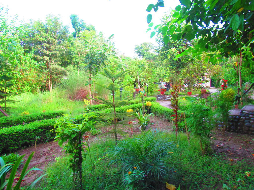 Chitwan Gaida Lodge Sauraha Εξωτερικό φωτογραφία