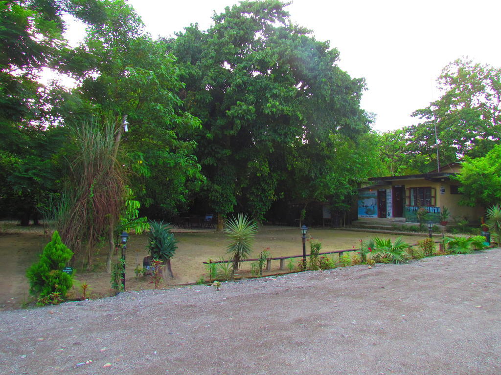 Chitwan Gaida Lodge Sauraha Εξωτερικό φωτογραφία