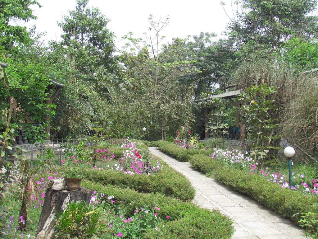 Chitwan Gaida Lodge Sauraha Εξωτερικό φωτογραφία