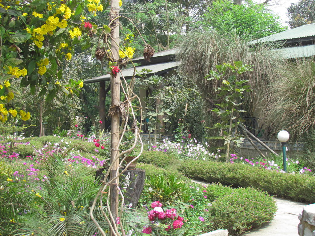 Chitwan Gaida Lodge Sauraha Εξωτερικό φωτογραφία