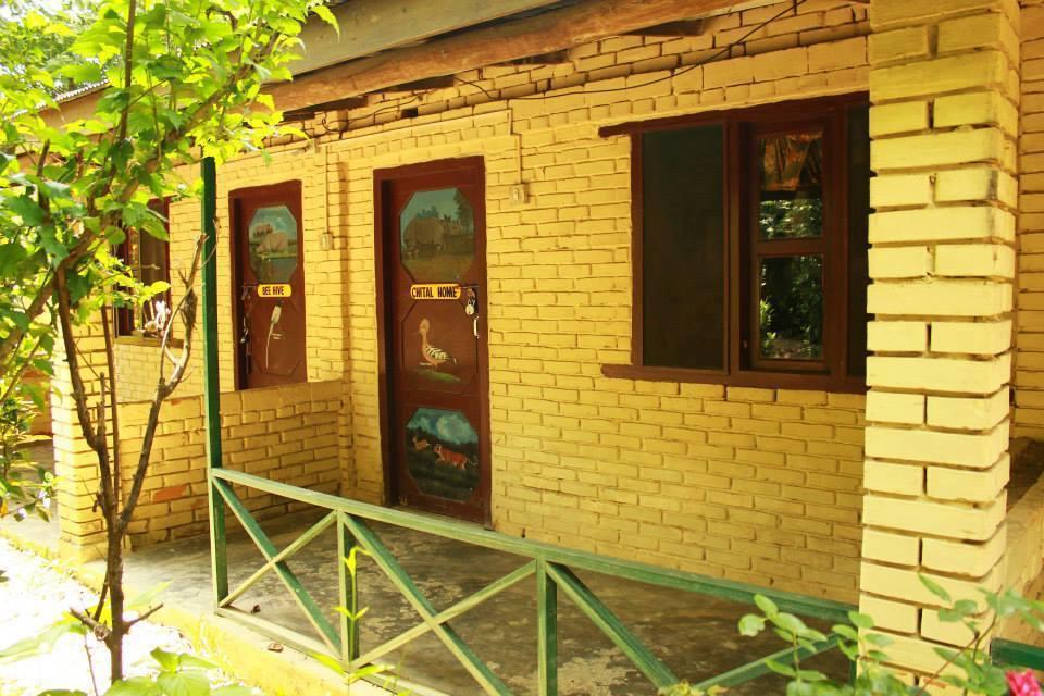 Chitwan Gaida Lodge Sauraha Εξωτερικό φωτογραφία