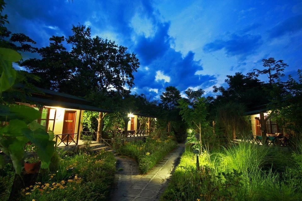 Chitwan Gaida Lodge Sauraha Εξωτερικό φωτογραφία