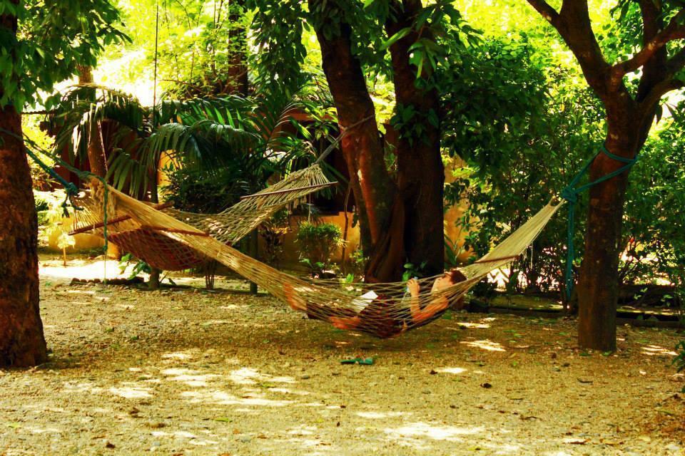 Chitwan Gaida Lodge Sauraha Εξωτερικό φωτογραφία