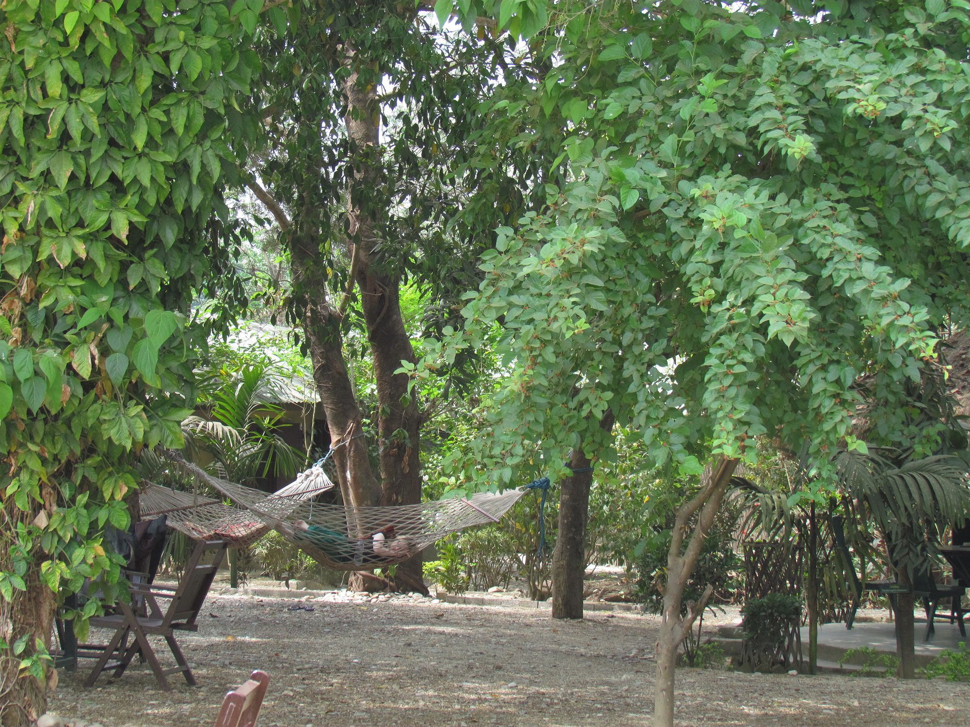 Chitwan Gaida Lodge Sauraha Εξωτερικό φωτογραφία