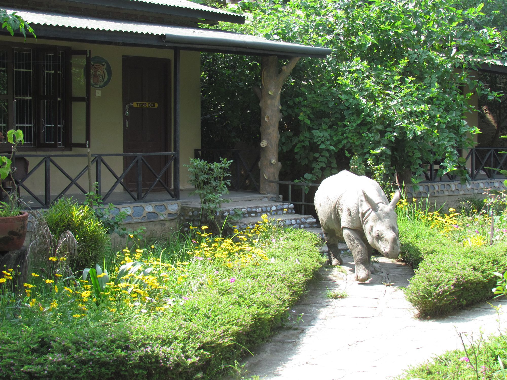 Chitwan Gaida Lodge Sauraha Εξωτερικό φωτογραφία